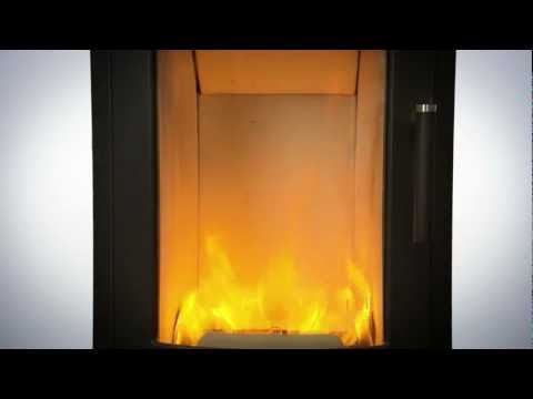 Regent Gas Fireplace New Be Nungsanleitung Austroflamm