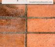 Removing soot From Fireplace Brick Inspirational How to Clean Fireplace Bricks Cleaning the House