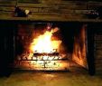 Replace Brick Fireplace Inspirational Gas Starter Fireplace Wood with Pipe Fire Repair Conversion F