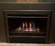 Replace Fireplace Glass Inspirational Heat N Glo Fireplace Parts Replacement Heatilator Gas