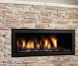 Replace Fireplace Insert Awesome Bradshomefurnishing Part 779