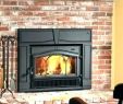 Replace Fireplace Insert Best Of Od Burning Fireplace Insert for Manual Heatilator Arrow Wood