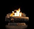 Replace Gas Fireplace Logs Lovely Oakwood 22 75 In Vent Free Propane Gas Fireplace Logs with thermostatic Control
