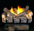 Replacement Ceramic Logs for Gas Fireplace Beautiful Gas Fireplace Remote Control Kit – Sarastevenson