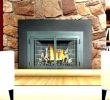 Replacement Fireplace Insert Awesome Buck Fireplace Insert – Petgeek