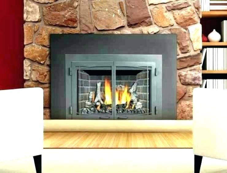 Replacement Fireplace Insert Awesome Buck Fireplace Insert – Petgeek