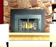 Replacing Fireplace Insert Awesome Buck Fireplace Insert – Petgeek