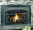 Replacing Fireplace Insert Unique Buck Fireplace Insert – Petgeek