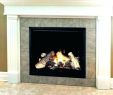 Replacing Gas Fireplace Insert Lovely Fireplace Insert Blowers – Highclassebook