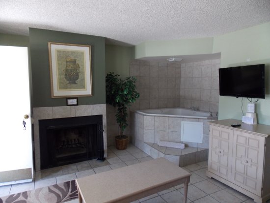 wood burning fireplace
