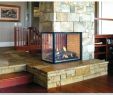 See Through Gas Fireplace Insert Inspirational See Through Fireplace Insert Fireplace Design Ideas