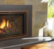 See Through Gas Fireplace Luxury Gas Fireplace Inserts Regency Fireplace Products