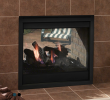 See Through Outdoor Fireplace Fresh Majestic Twilight Ii Indoor Outdoor See Thru Gas Fireplace
