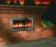 See Through Ventless Fireplace Luxury Firegear Od 42 Outdoor Ventless Fireplace