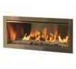 See Through Ventless Fireplace Unique Firegear Od42 42" Gas Outdoor Vent Free Fireplace Insert