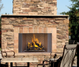 See Through Wood Burning Fireplace Elegant astria