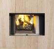 See Through Wood Burning Fireplace Insert Elegant astria Archives Energy House