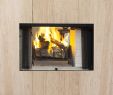 See Through Wood Burning Fireplace Insert Elegant astria Archives Energy House