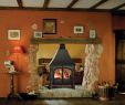 See Through Wood Burning Fireplace Insert Elegant Stockton Double Sided Wood Burning & Multi Fuel Stoves