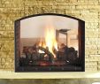 See Through Wood Burning Fireplace Insert Fresh Wood Stove Hearth Pads – Peachcapital