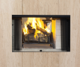 See Through Wood Burning Fireplace Inspirational astria