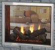 See Thru Gas Fireplace Elegant fortress See Through Gas Model Odfortg 36