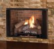See Thru Gas Fireplace Luxury astria Fireplaces & Gas Logs