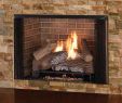 See Thru Gas Fireplace Luxury astria Fireplaces & Gas Logs