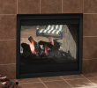 See Thru Gas Fireplace Luxury Majestic Twilight Ii Indoor Outdoor See Thru Gas Fireplace