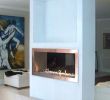 See Thru Gas Fireplace Luxury See Through Gas Fireplace Insert – Cursodeteologiafo