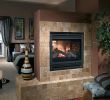 See Thru Gas Fireplace Luxury See Through Gas Fireplace Insert – Cursodeteologiafo