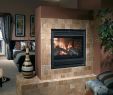 See Thru Gas Fireplace Luxury See Through Gas Fireplace Insert – Cursodeteologiafo