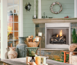 Shallow Depth Gas Fireplace Awesome Starlite Lx Gas Fireplaces