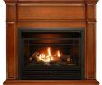 Shallow Depth Gas Fireplace Luxury 42 In Full Size Ventless Dual Fuel Fireplace In Apple Spice with thermostat Control