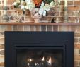 Shallow Gas Fireplace Beautiful 31 Best Five Star Fireplaces Installed Fireplaces Wood and