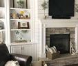 Shiplap Over Fireplace Elegant if the Cat Were A Dog It D Be Perfect ð