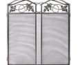 Silver Fireplace Screen Fresh 24 Best Wrought Iron Fireplace Screen Images