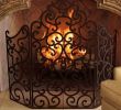 Silver Fireplace Screen Inspirational 375 Best Fireplace Images In 2019