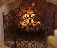 Silver Fireplace Screen Inspirational 375 Best Fireplace Images In 2019