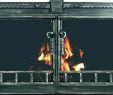 Single Panel Fireplace Screen Unique Pilgrim Fireplace Screens – Daily Tmeals
