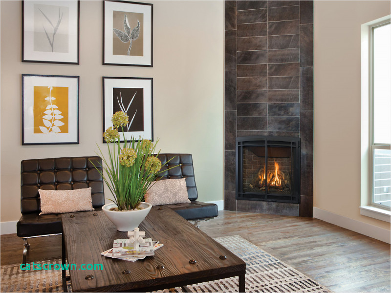 Slimline Gas Fireplace Best Of Luxury How Much Gas Does A Gas Fireplace Use Best Home