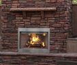 Small Direct Vent Gas Fireplace New Outdoor Products Gas Burning Fireplaces