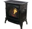 Small Free Standing Gas Fireplace Fresh Freestanding Gas Stoves Freestanding Stoves the Home Depot