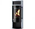 Small Gas Fireplace New Kaminofen Drooff Aprica 2 Plus Trend 4 Oder 8 Kw