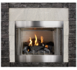 Small Ventless Gas Fireplace Best Of Empire Carol Rose Coastal Premium 42 Vent Free Outdoor Gas Firebox Op42fb2mf