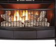 Small Ventless Gas Fireplace Elegant Ventless Gas Fireplace Pro Dual Fuel Stove Btu