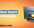 Small Wood Burning Fireplace Beautiful Magnificent Small Wood Burning Stove Fireplace Insert