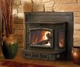Small Wood Burning Fireplace Insert Inspirational Small Wood Burning Fireplace Inserts Fireplace Design Ideas