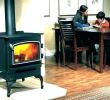 Small Wood Burning Fireplace Lovely Mini Wood Stove for Sale – Familyroots