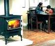 Small Wood Burning Fireplace Lovely Mini Wood Stove for Sale – Familyroots